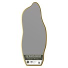 ESPELHO 100X40CM 1.8MM ORGANICO MOLDURA PLASTICO OURO UN.