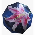 GUARDA-CHUVA SOMBRINHA 8V LUXO AUTOM. COLOR KO96756 UN.