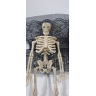 Acessório de Halloween Caveira com Presilha