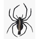 Presilha de Cabelo Aranha Venenosa 15x12cm – Acessório Fantasia Halloween Assustador para Adultos e Crianças