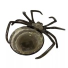 Bandeja Petisqueira De Aranha Acrílica Halloween Terror Porta Doces Decoração de Festas
