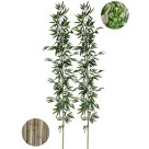 Kit 2 hastes Bambu Artificial 2 Metros Grande Decoração de Jardim