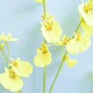 Haste de Orquídea Amarela Flores e Plantas Artificiais Jardinagem Decorativa