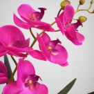 Haste de Orquidea Rosa Alta Galho de Orquidea 90cm Decoracao