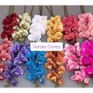 Haste de Orquidea Rosa Alta Galho de Orquidea 90cm Decoracao