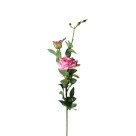 Galho Roseira com 3 Flores Alta com 83cm Colorido