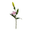 Haste de Lirio Varias Cores 47cm Decoracao