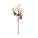 Haste Flor do Campo Varias Cores com 59cm 6 Flores