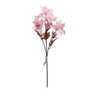Haste Flor do Campo Varias Cores com 59cm 6 Flores