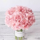 Buquet de Peonias, Diversas Cores Haste com 32cm 
