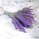 Mini Buque de Lavanda Artificial com 35cm Decoracao