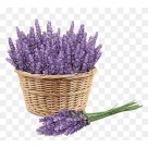 Buque Lavanda Alto com 40cm Decoracao