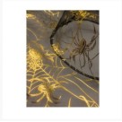 Chapéu de Bruxa Transparente com Teia de Aranha Dourada