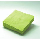 Guardanapo Descartavel 20x22cm com 50 unidades Verde Claro