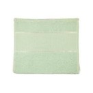Toalha De Lavabo 45x29cm Social Escolar Boca Felpa Verde