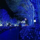 Pisca Pisca Azul com Controle 8 Funções para Decoração e Enfeite de Arvore de Natal