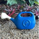 Regador Plástico 5,5L com Chuveirinho – Jardim, Horta, Plantas, Verde ou Azul Econômico