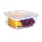 Pote De Plastico Retangular Com Tampa Hermética Flex 4l
