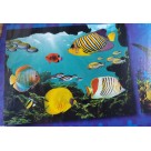 Quebra-cabeças 2 Puzzle De 100 Peças Amizade Nos Oceanos Mar