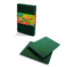 Fibra Abrasiva 15cm x 10cm x 0,7cm Com 2 Unidades