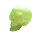 Cranio Plastico Neon Brilha no Escuro com 20cm