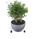 Suporte para Papel Toalha Preto Azzo