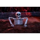 Decoração de Halloween Enfeite Meio Esqueleto com Luz Led