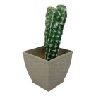 Vaso Cachepô Rattan Pequeno Quadrado Palha 8cm – Decoração Sofisticada para Casa e Jardim