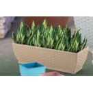 Jardineira Rattan Retangular Palha – Decoração Sofisticada para Casa e Jardim