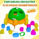 Turtle Didactive Rede Pica-Pau Brinquedo Educativo 13 Pecas