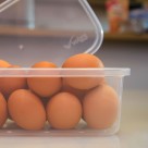 Pote Retangular Alto Volare 3 Litros Plástico Transparente com Tampa para Armazenamento de Alimentos, Cozinha, Geladeira e Freezer  