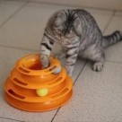 Brinquedo para Gatos Torre com Bolinhas Fluffie Interativo e Resistente para Estimular Exercícios e Diversão