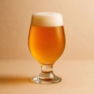 Taça de Cerveja Paulista 300ml de Vidro Reforçado – Design Clássico, Alta Transparência e Ideal para Cervejas Artesanais, Lager e Pilsen