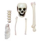 kit ossos 6 peças esqueleto crânio enfeite halloween jardim